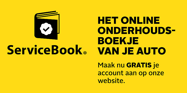 Carteam Garage Pronk