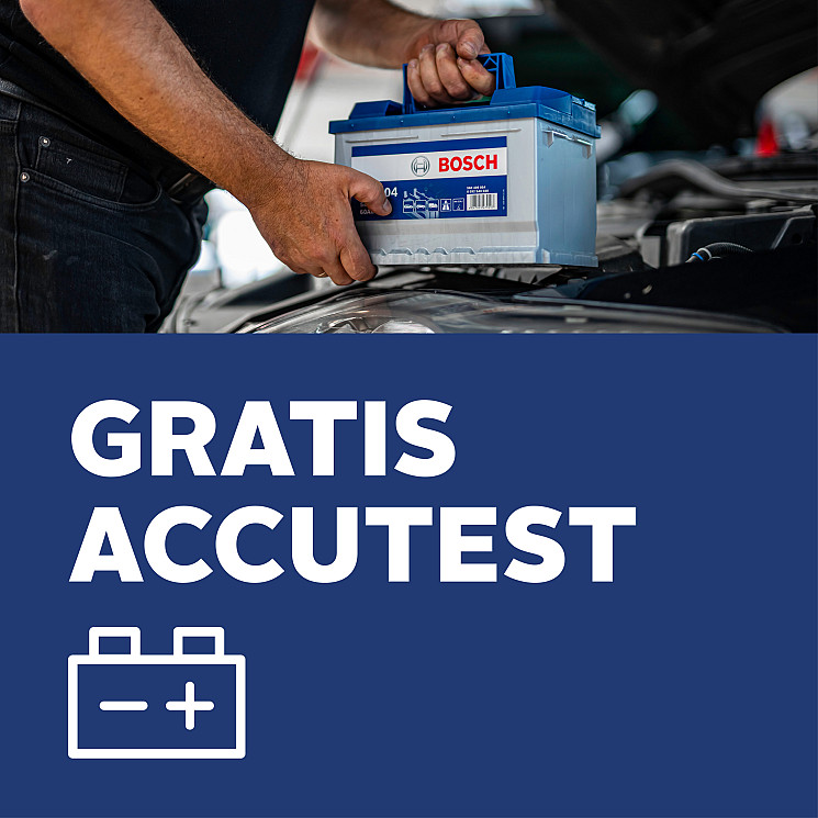 Carteam Garage Pronk