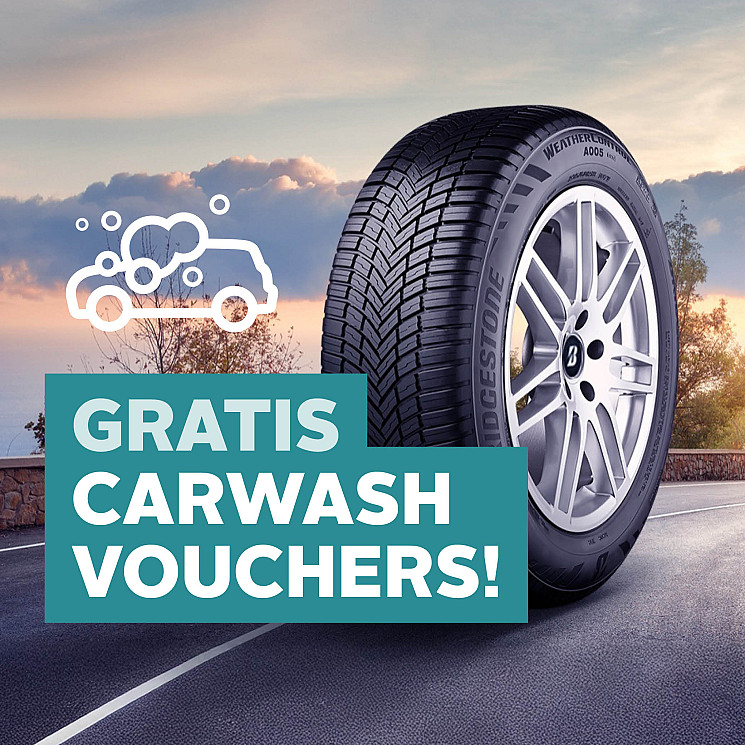 Carteam Garage Pronk