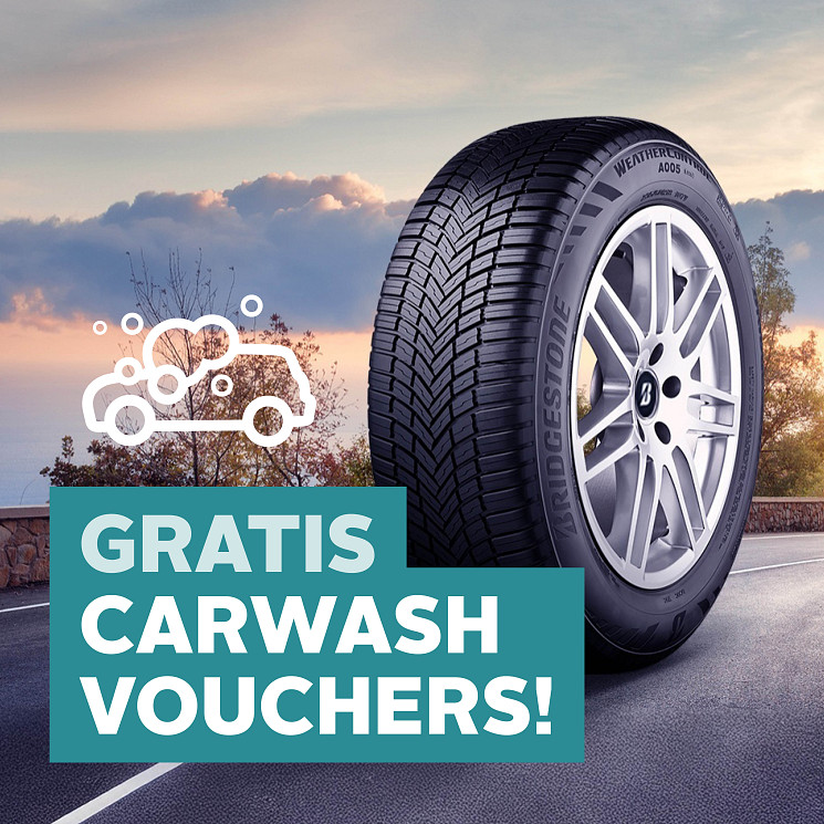 Carteam Garage Pronk