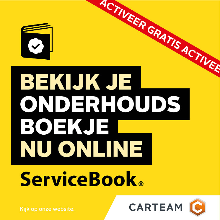 Carteam Garage Pronk