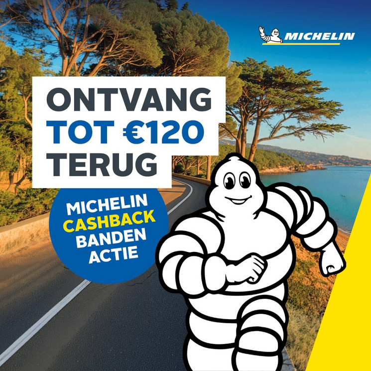 Carteam Garage Pronk
